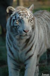 Jardim Zoológico de Lisboa
