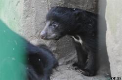 Zoo Leipzig