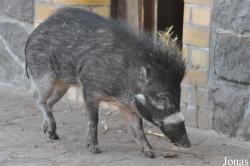 Zoo Leipzig