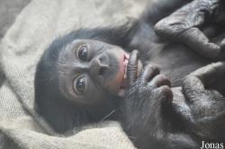 Zoo Leipzig