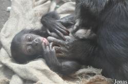 Zoo Leipzig