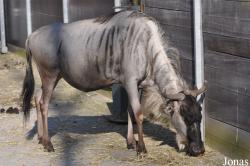 Zoo Leipzig