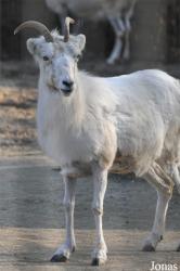 Zoo Leipzig