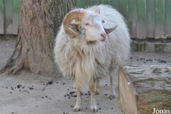 Zoo Leipzig