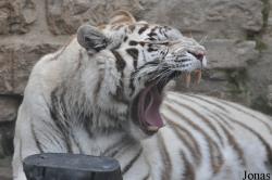 Zoo Aschersleben