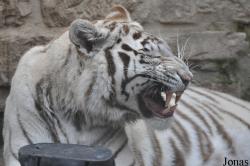 Zoo Aschersleben