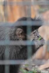 Zoo Aschersleben