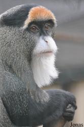 Zoo Aschersleben