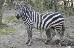 Zoo Aschersleben