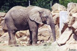 Zoo d'Amnéville