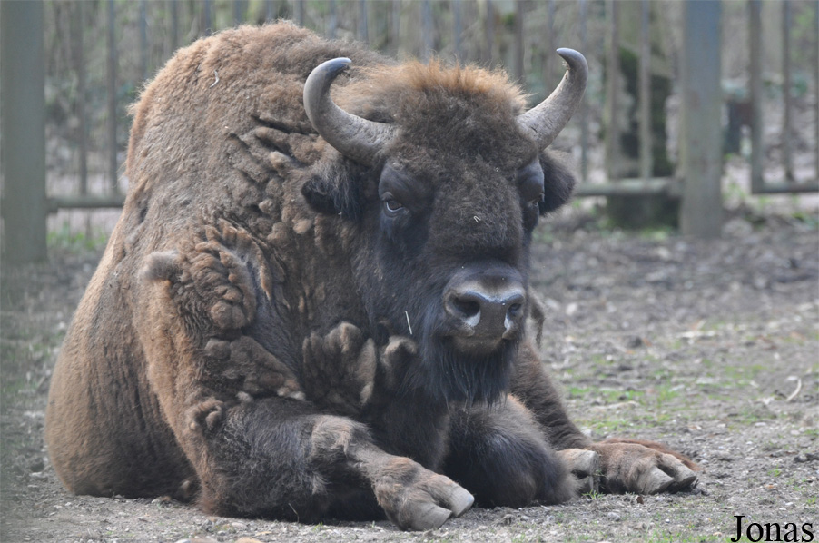 Tiergarten Bernburg