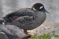 Tiergarten Bernburg