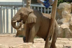 Zoo d'Amnéville