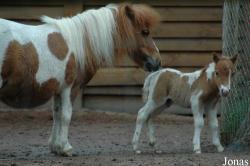 Zoo Kaiserslautern