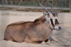 Zoologischer Garten Magdeburg
