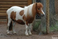 Zoo Kaiserslautern