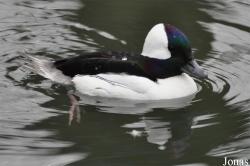 Zoologischer Garten Magdeburg