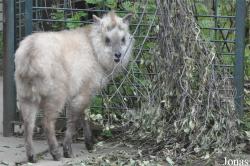 Zoologischer Garten Magdeburg