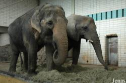 Zoologischer Garten Magdeburg