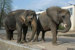 Zoologischer Garten Magdeburg