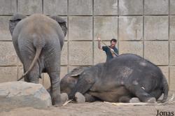 Zoologischer Garten Magdeburg