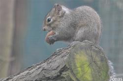 Tierpark Cottbus
