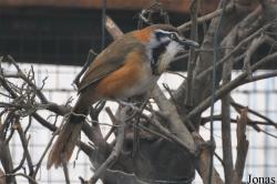 Tierpark Cottbus