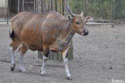 Tierpark Cottbus