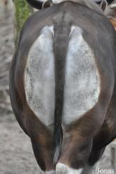 Tierpark Cottbus
