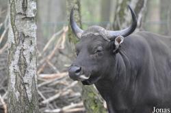 Tierpark Cottbus