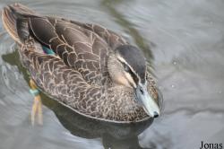 Tierpark Cottbus