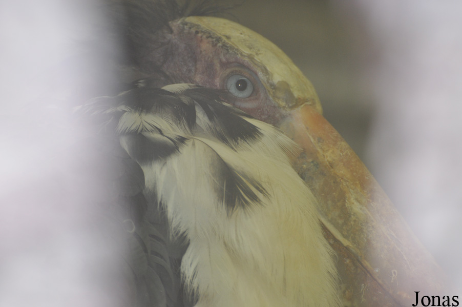 Tierpark Cottbus