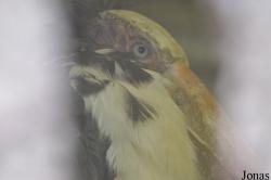 Tierpark Cottbus
