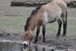 Tierpark Cottbus