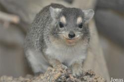 Tierpark Cottbus
