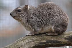 Tierpark Cottbus