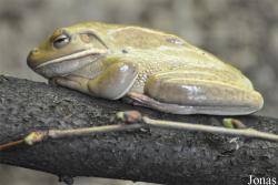 Zoo Hoyerswerda