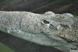 Zoo Hoyerswerda