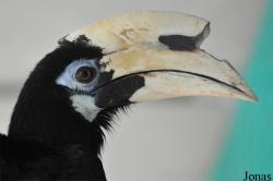 Zoo Hoyerswerda