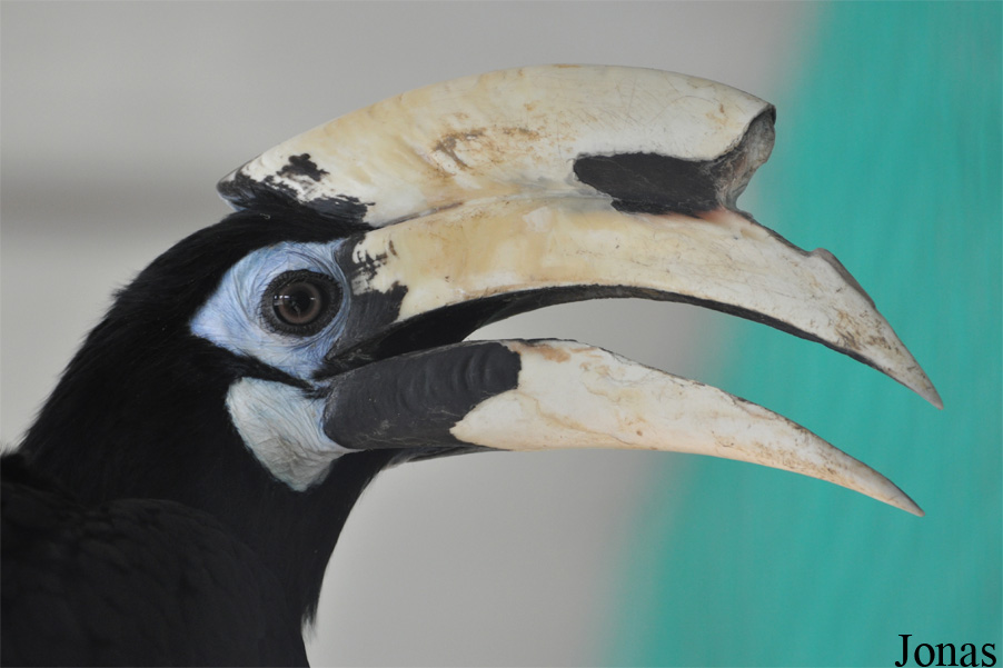Zoo Hoyerswerda