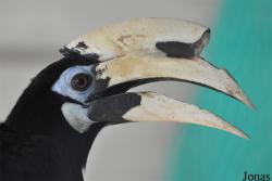 Zoo Hoyerswerda