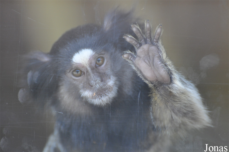 Zoo Hoyerswerda