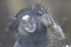 Zoo Hoyerswerda