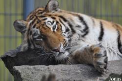Zoo Hoyerswerda