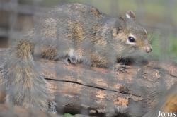 Zoo Hoyerswerda