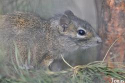 Zoo Hoyerswerda