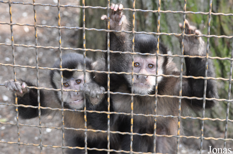 Zoo Hoyerswerda
