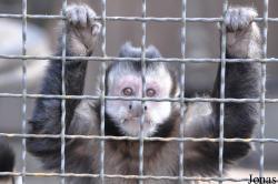 Zoo Hoyerswerda