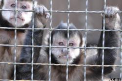 Zoo Hoyerswerda