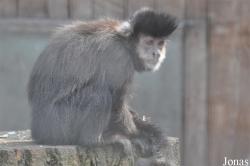 Zoo Hoyerswerda